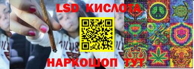 винт Братск