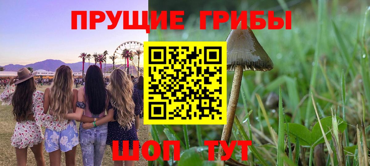Воскресенск  Галлюциногенные грибы MAGIC MUSHROOMS  Галлюциногенные грибы Magic Shrooms  Вход с VPN 